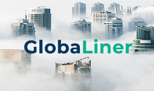 GlobaLiner: gerenciamento de risco de crédito para multinacionais